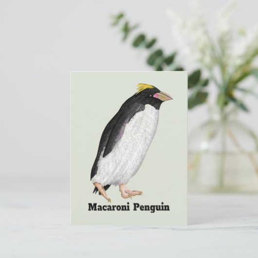 Paläeudyptes Extinct Pinguin Postkarte (Stehend Vorderseite)