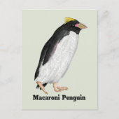 Paläeudyptes Extinct Pinguin Postkarte (Vorderseite)