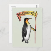 Paläeudyptes Extinct Pinguin Postkarte (Vorne/Hinten)