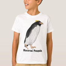 Paläeudyptes Extinct Pinguin