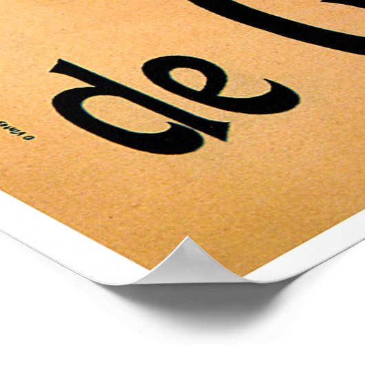 Palais de Glace 1896 ~ Vintag Poster (Ecke)