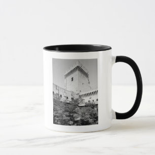 Palais DES Papes, Palais Vieux von Benedict XII Tasse