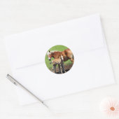 Palamino Horse und Foal Stickers (Umschlag)