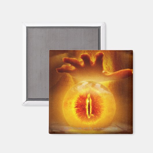 PALANTIR™ MAGNET (Vorderseite/Rückseite)