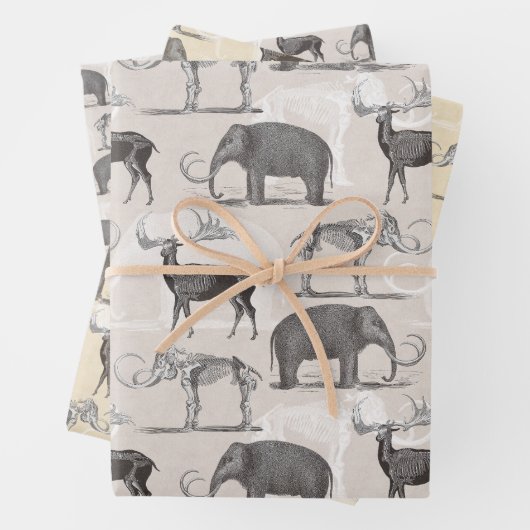 Paläontologe Wooly Mammoth und Giant Irish Elk Geschenkpapier Set (Beispiel)