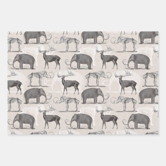 Paläontologe Wooly Mammoth und Giant Irish Elk Geschenkpapier Set (Vorderseite)