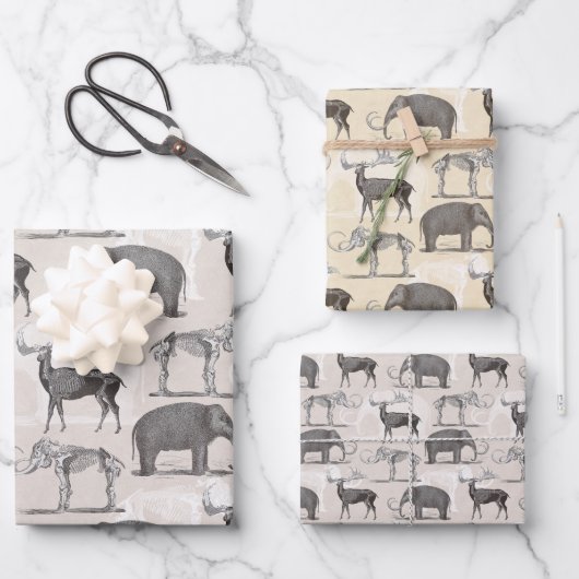 Paläontologe Wooly Mammoth und Giant Irish Elk Geschenkpapier Set (Vorderseite)