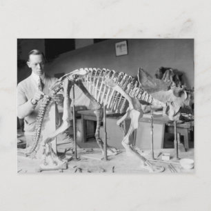 Paläontologie Wissenschaftler Baby Dinosaurier Vin Postkarte