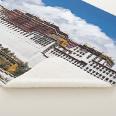 Palast von Potala in Lhasa - Tibet Sherpadecke (3/4)