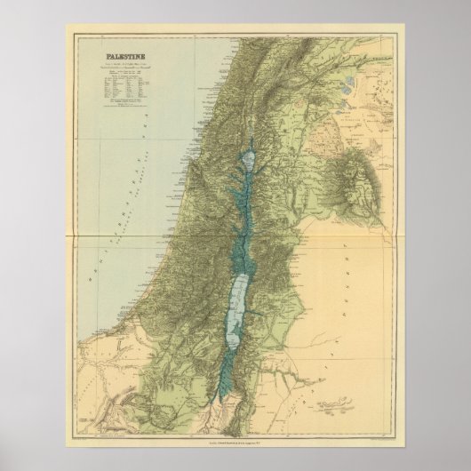 Palästina 3 poster (Vorne)