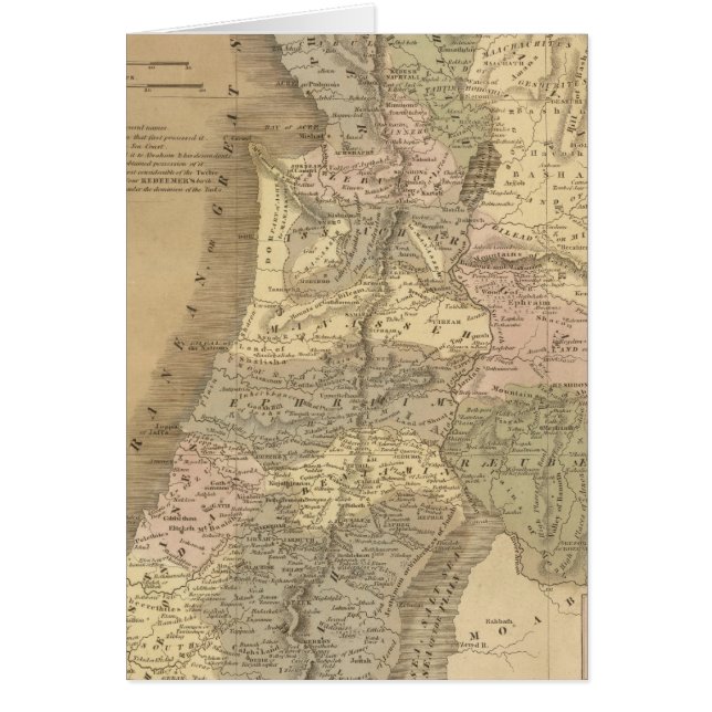 Palästina 6 (Vorne)