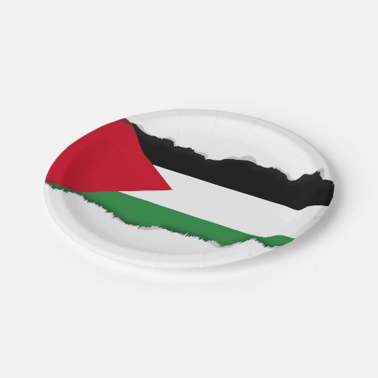 Palästina-Flagge Pappteller (Schrägansicht)