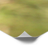 Palästina Sunbird, National Bird Wildlife Poster (Ecke)