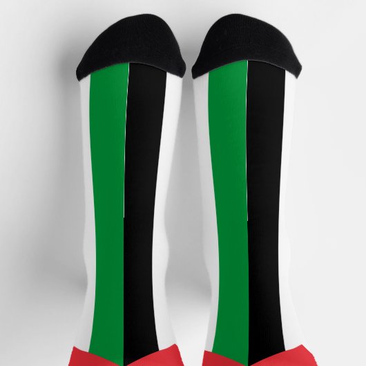 Palästinafahne patriotisch modern socken (Oben)