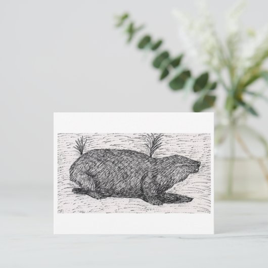Palästinensische Mole Rat Postkarte (Stehend Vorderseite)