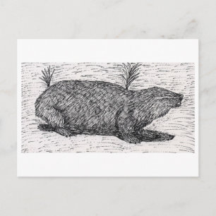 Palästinensische Mole Rat Postkarte