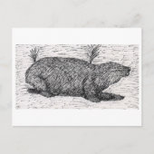 Palästinensische Mole Rat Postkarte (Vorderseite)