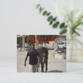 Palästinensischer Käfer Postkarte (Stehend Vorderseite)