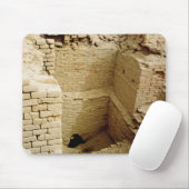 Palastruine Mousepad (Mit Mouse)