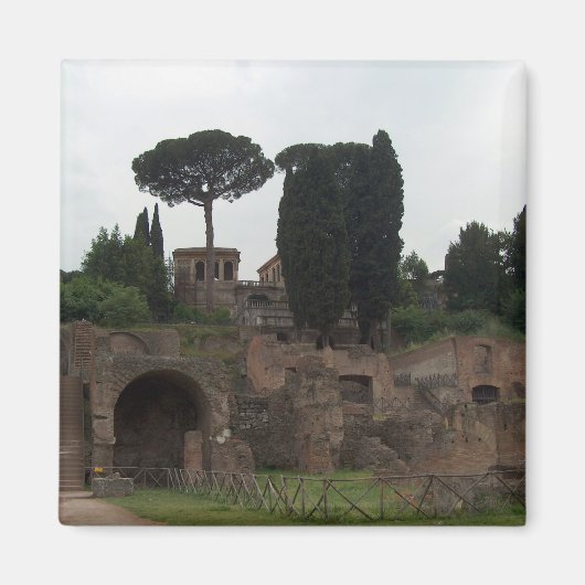 Palatine Hill in Rom, Italien Magnet (Vorne)