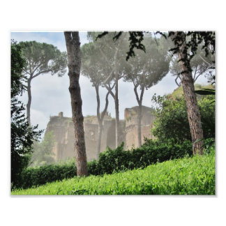 Palatine Hill Through the Trees, Rom Fotodruck