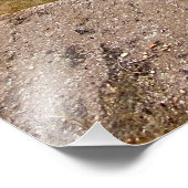 Palatine Stadium Ruinen in Rom, Italien Fotodruck (Ecke)