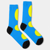 Palau-Flagge Socken (Rechts)