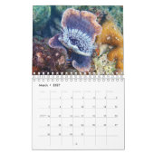 Palau Kalender (Mär 2027)