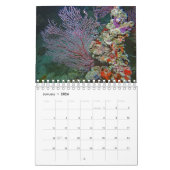 Palau Kalender (Jan 2026)