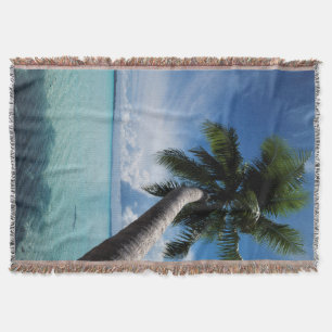 Palau, Mikronesien, Palme an der Palau-Lagune Decke