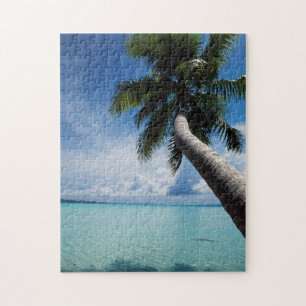 Palau, Mikronesien, Palme an der Palau-Lagune Puzzle