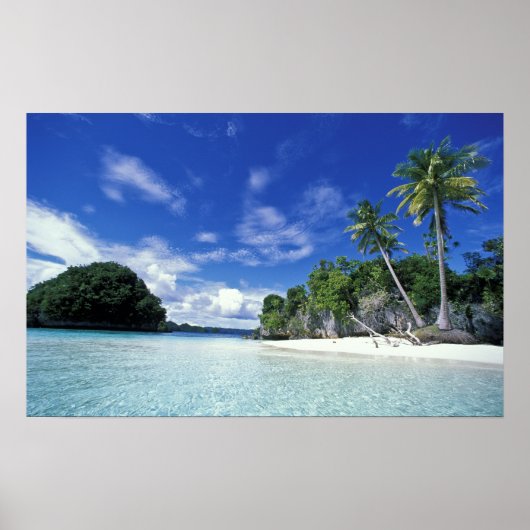 Palau, Rock Islands, Honeymoon Island, Welt Poster (Vorne)