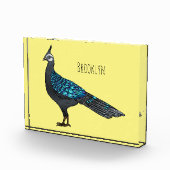 Palawan Pfauenpheasant Cartoon Fotoblock (Rechts)