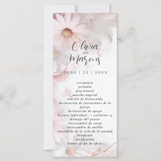 Pale Blush Pink Daisy Programa de bodas (Vorderseite)