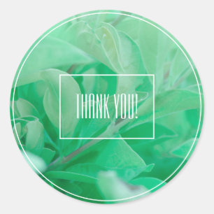 Pale Green Leaf Pflanze Danke Sticker