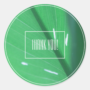 Pale Green Leaf Pflanze Danke Sticker
