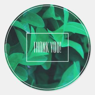 Pale Green Leaf Pflanze Danke Sticker
