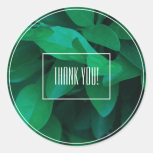 Pale Green Leaf Pflanze Danke Sticker
