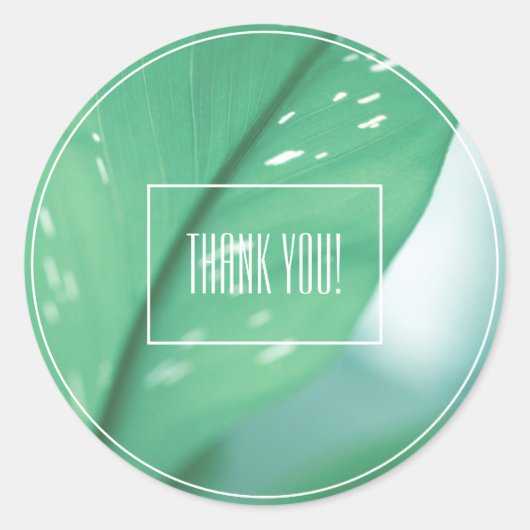 Pale Green Leaf Pflanze Danke Sticker (Vorderseite)