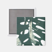Pale Green Pastel Schweizer Käse Pflanze Magnet (Vorderseite/Rückseite)