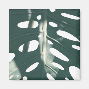 Pale Green Pastel Schweizer Käse Pflanze Magnet