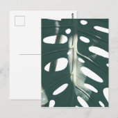 Pale Green Pastel Schweizer Käse Pflanze Postkarte (Vorne/Hinten)