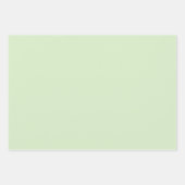 Pale Jade Kariertes Muster mit koordinierten Grünt Geschenkpapier Set (Vorderseite 2)