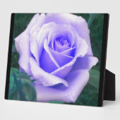 Pale Lavender Rose Foto Plaque Fotoplatte (Seite)