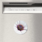 Pale Lila Daisy Magnet (In Situ (Geschirrspüler))