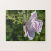 Pale Lilac Tee Rose Jigsaw Puzzle (Horizontal)