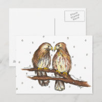 Pale Male Lola Red Tail Hawk Bird Winter Snow