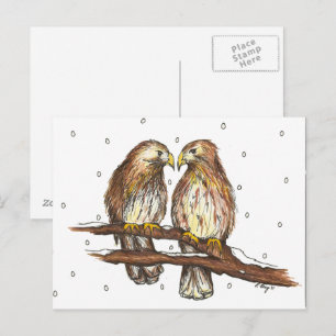 Pale Male Lola Red Tail Hawk Bird Winter Snow Postkarte