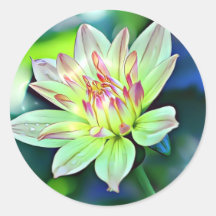 Pale Ombre Orange Pink Giant Dahlia Blume Art