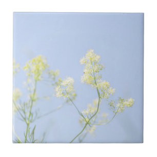 Pale Pastel Blue Sky Wilde Blume Meadow Fliese